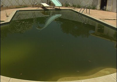DirtyGreenPOol1