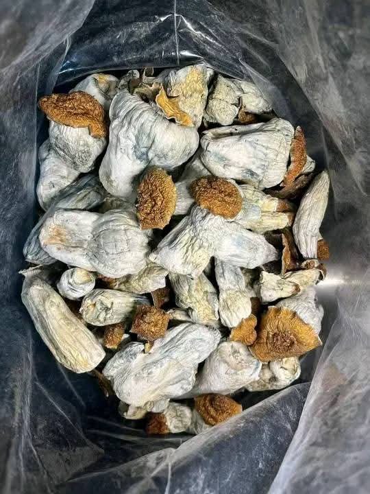 Hey Telegram @pluglord50, Coke Ice Cold Shard Weed Bud Molly Dmt Xanax Dexies Cacain Rock Speed
