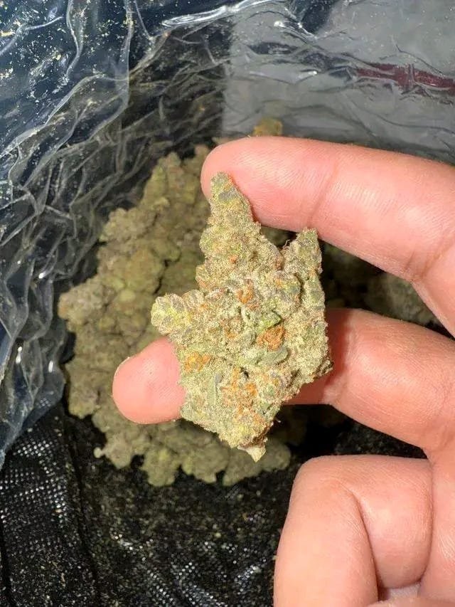 Hey Telegram @pluglord50, Coke Ice Cold Shard Weed Bud Molly Dmt Xanax Dexies Cacain Rock Speed Gear