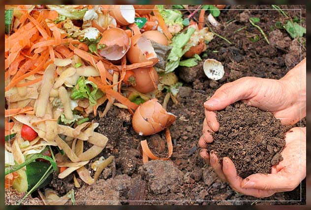 Why Slow Release Organic Fertiliser Is Good for Your Plants