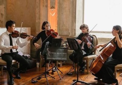 professionals-String-quartet