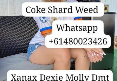 0796d0fe-9411-4d8e-bff2-3bf3195c3fb4