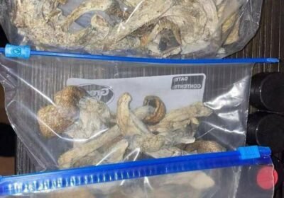 166cf62e-0188-4aa2-b5c9-01f6ea68c722-1