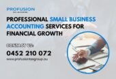 Professional Small Business Accounting Services for Financial Growth