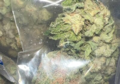 e2d4512b-6c0b-4519-b858-2775856d8b3c-1