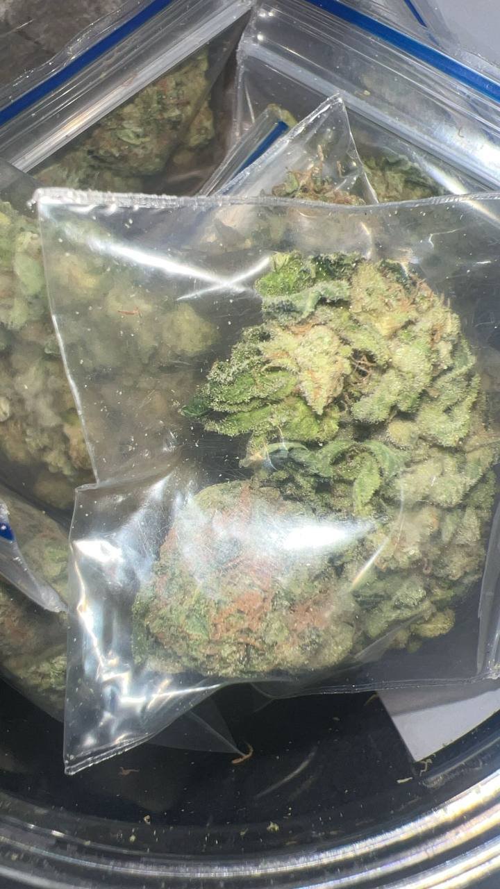 Surfer Paradis,Coke,Ice,Cold with Meth and Cocain doing Dmt all time in Bar’s like Xanax,dexies,Weed