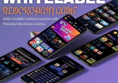 whitelabel-blockchain-game