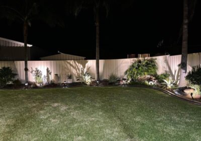 Garden-Lighting-Feature-Image-1