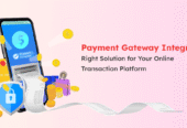 Investor-Ready Payment Gateway Script for High Revenue Fintech Ventures