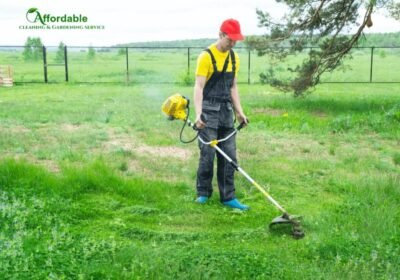 Screenshot-2025-12-09-131154