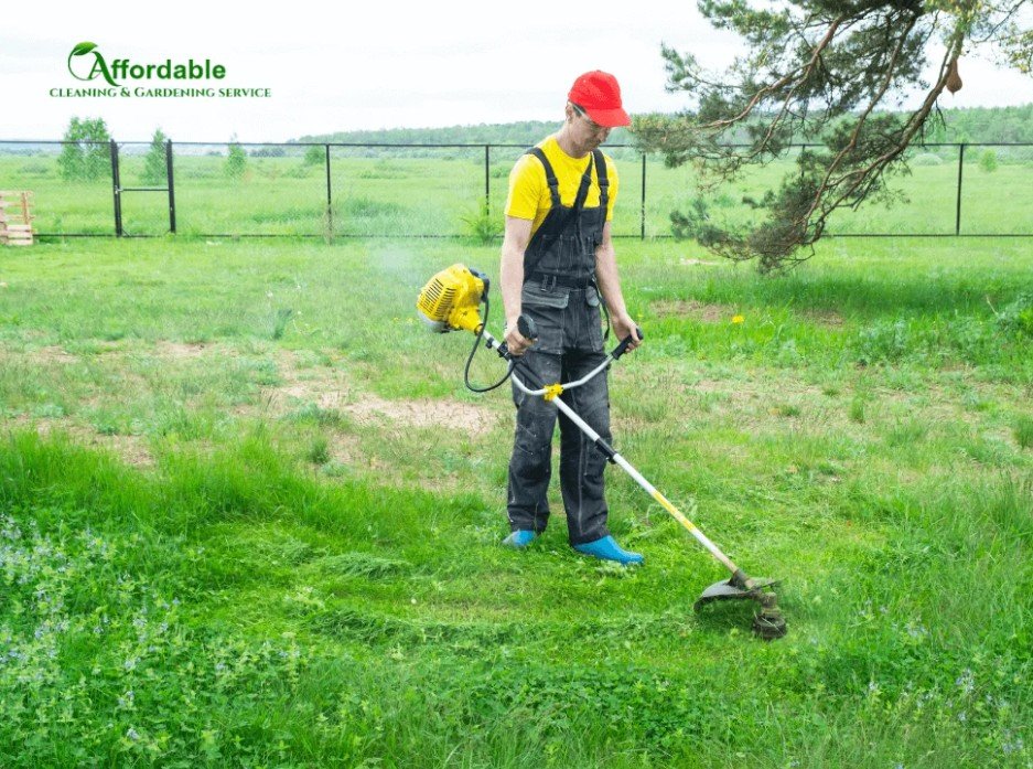 Professional Lawn Care Service for Healthy, Beautiful Gardens