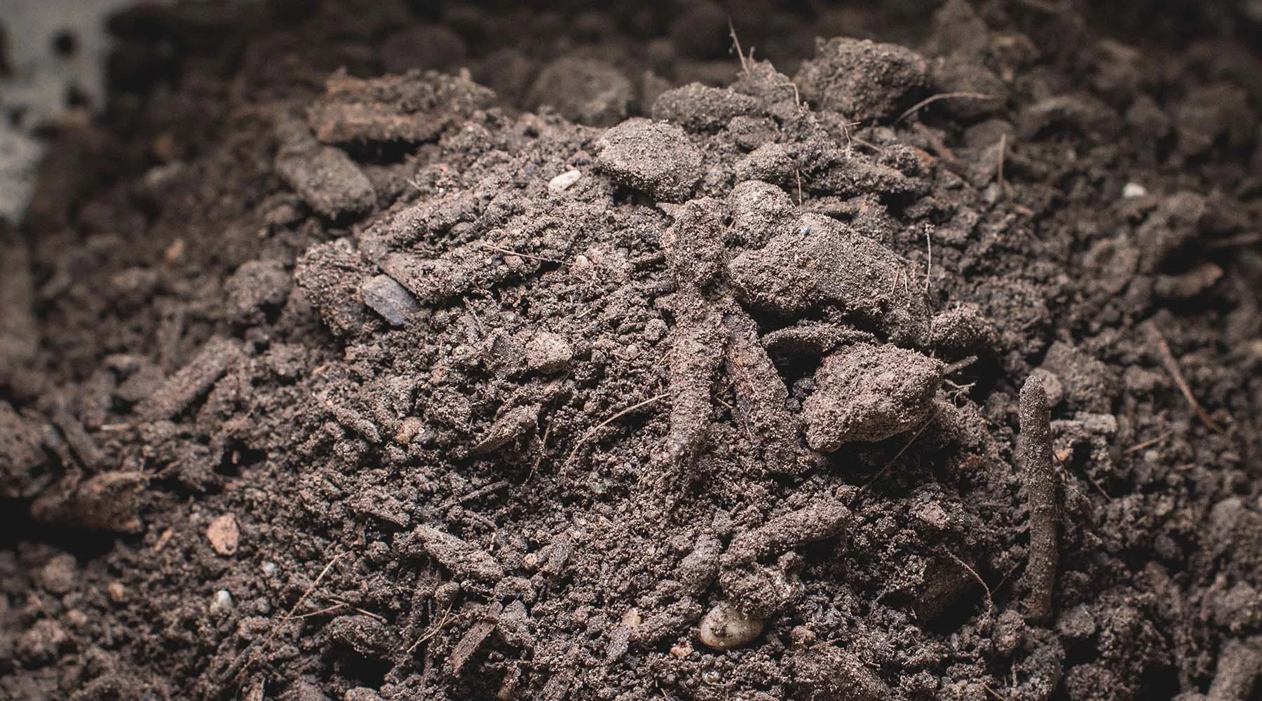 Give Your Plants a Natural Boost with Organic Fish Fertiliser