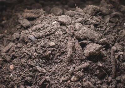 SoilDynamicsSocial-2