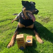 A Simple Upgrade That Matters