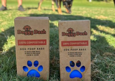 Square_Images_3_98ac25b8-1c35-4158-a2b4-359839b59bb5_1