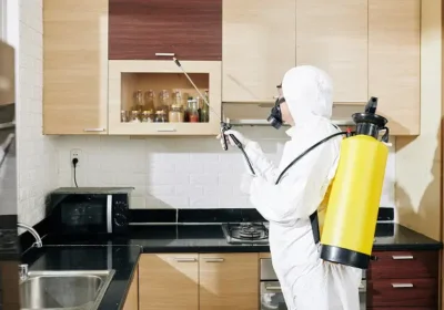 cockroach-pest-control-img