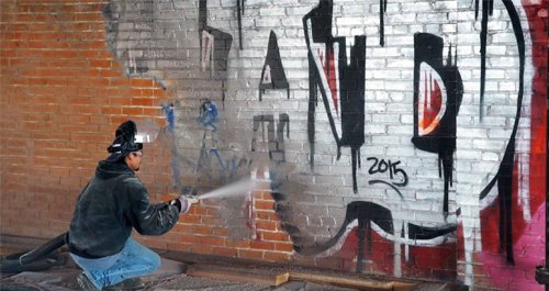 Is weather exposure, salt air, or mould making your Davidson or Dee Why property look neglected?