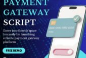 Investor-Ready Payment Gateway Script for High Revenue Fintech Ventures