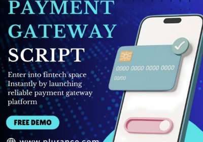 online-payment-gateway