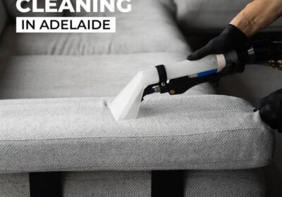 upholstery-cleaning-3