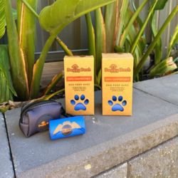 City Walks Without The Panic