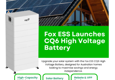 CG-Social-Media-2026-01-10T094633.458