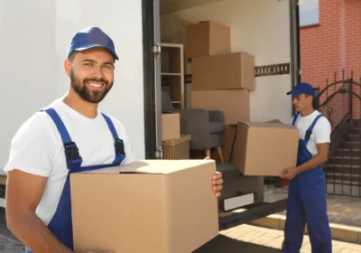 Hope-Island-Removals