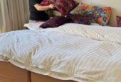 Professional Housekeeper Melbourne – Reliable Service