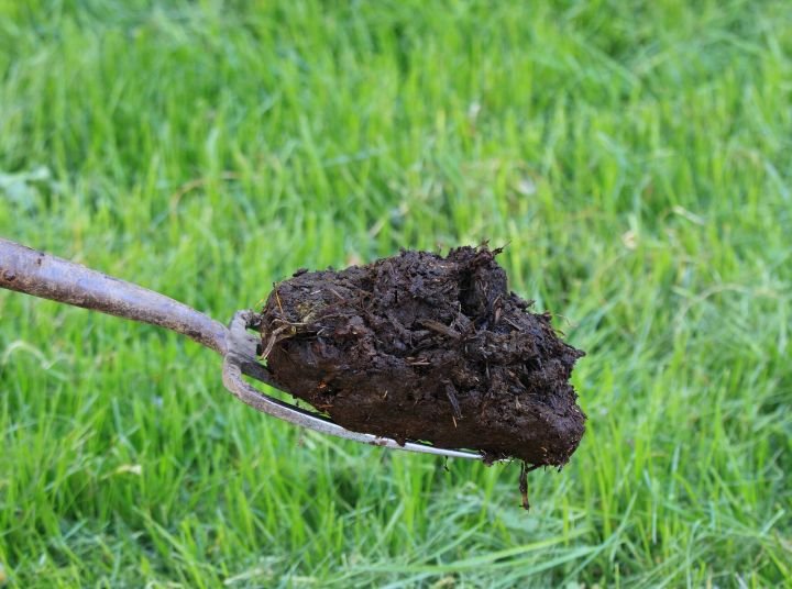 Organic Slow Release Fertiliser – A Smarter Way to Feed Your Soil