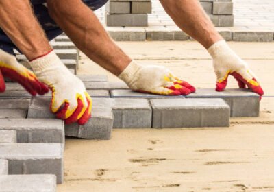 istockphoto-1078226666-612×612-1