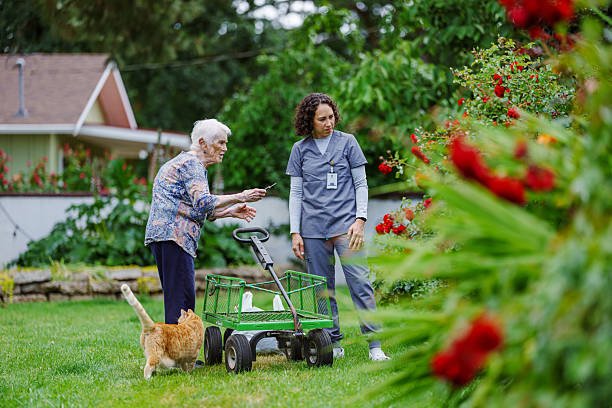 Effective Life Skills Development Programs in Logan | Diversity Community Services