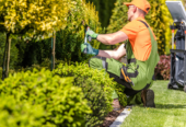 Professional Gardening Services Sydney