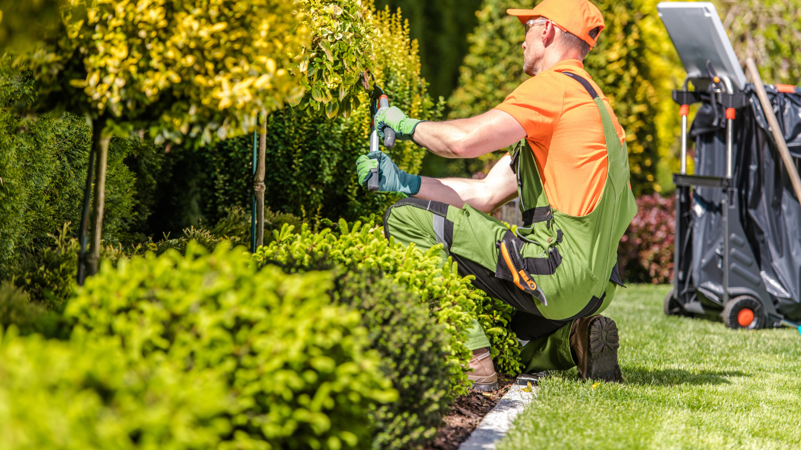 Professional Gardening Services Sydney