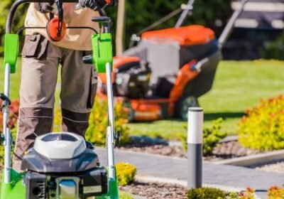 7-Ways-That-Professional-Gardening-Services-Can-Boost-Your-Homes-Curb-Appeal