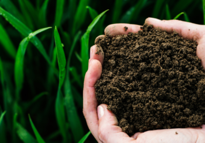 Eco-Friendly-Garden-Fertiliser-1024×1024-1024×585-1