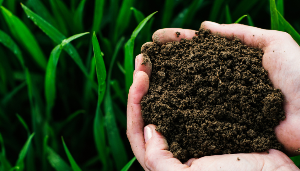 Organic Slow Release Fertiliser Australia – Boost Soil Health Naturally