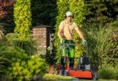 Professional Gardening Services Sydney