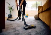 Eco-Friendly Carpet Cleaning – Go Green