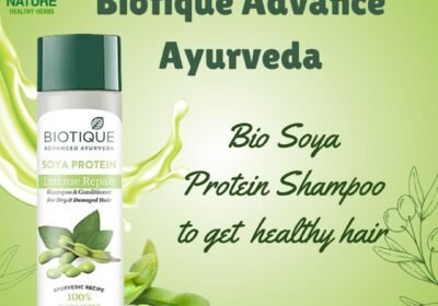 BiotiqueAyurvedaShampo
